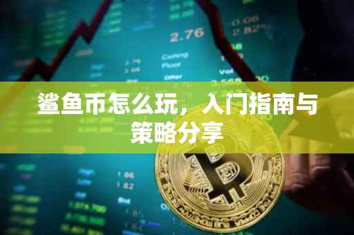 鲨鱼币怎么玩，入门指南与策略分享