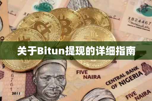 关于Bitun提现的详细指南