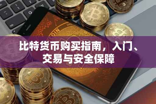比特货币购买指南，入门、交易与安全保障