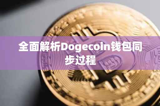 全面解析Dogecoin钱包同步过程