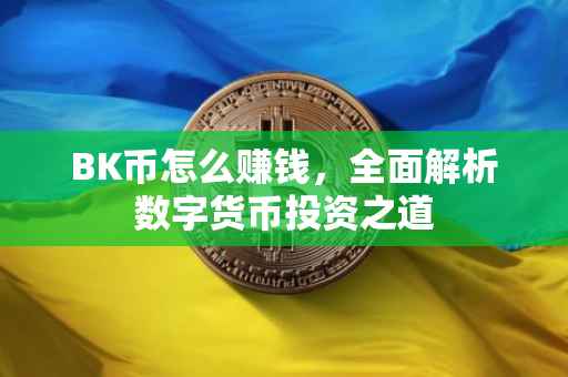 BK币怎么赚钱，全面解析数字货币投资之道