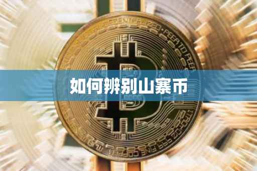 如何辨别山寨币