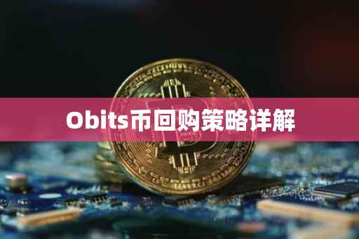 Obits币回购策略详解