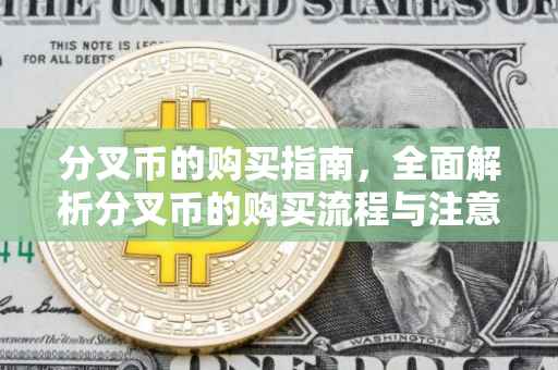 分叉币的购买指南，全面解析分叉币的购买流程与注意事项