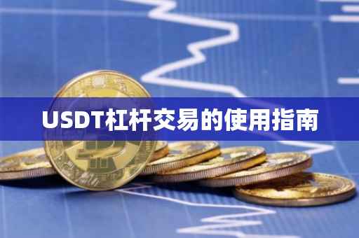 USDT杠杆交易的使用指南