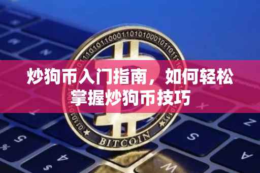炒狗币入门指南，如何轻松掌握炒狗币技巧