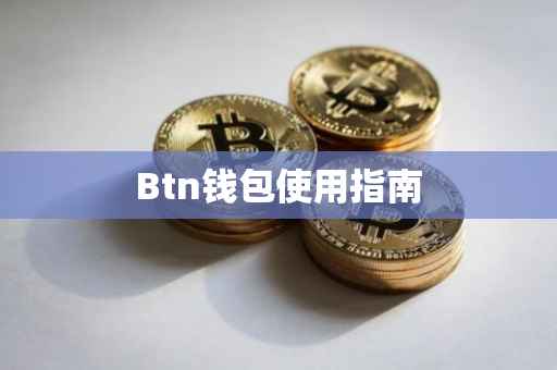 Btn钱包使用指南