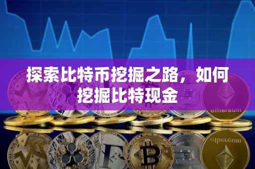 探索比特币挖掘之路，如何挖掘比特现金