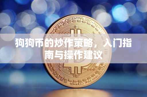 狗狗币的炒作策略，入门指南与操作建议