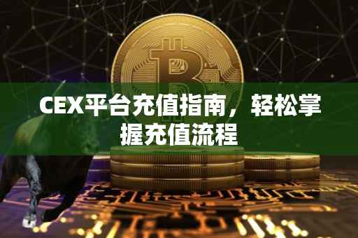 CEX平台充值指南，轻松掌握充值流程