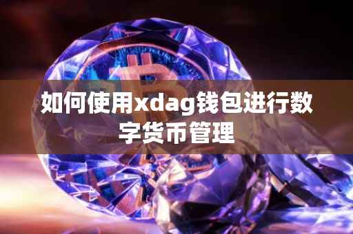 如何使用xdag钱包进行数字货币管理