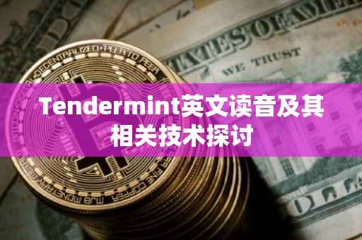 Tendermint英文读音及其相关技术探讨
