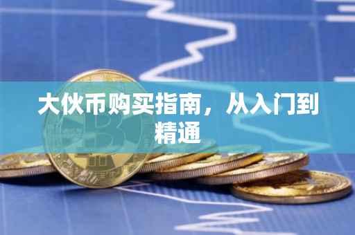 大伙币购买指南，从入门到精通