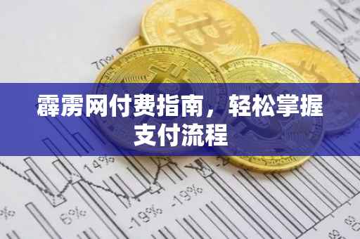 霹雳网付费指南，轻松掌握支付流程