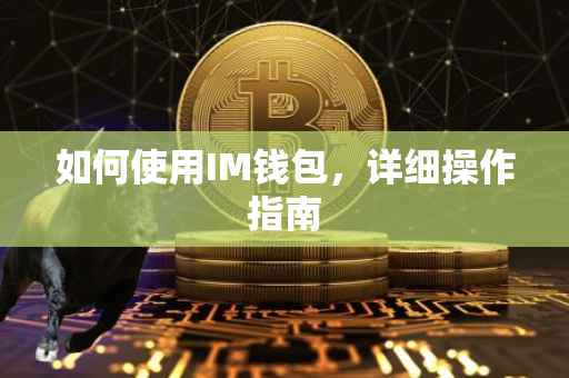 如何使用IM钱包，详细操作指南