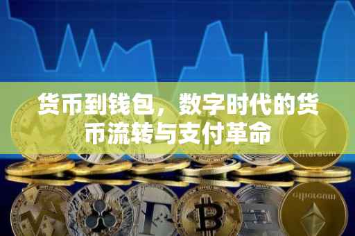 货币到钱包，数字时代的货币流转与支付革命