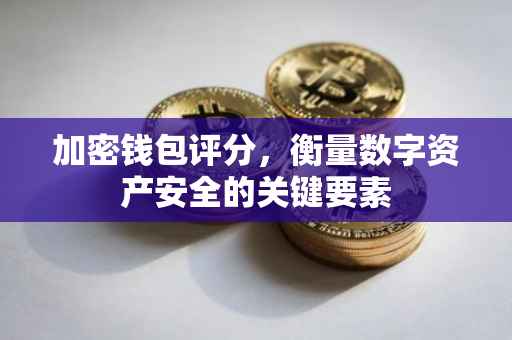 加密钱包评分，衡量数字资产安全的关键要素