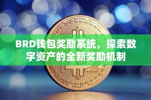 BRD钱包奖励系统，探索数字资产的全新奖励机制