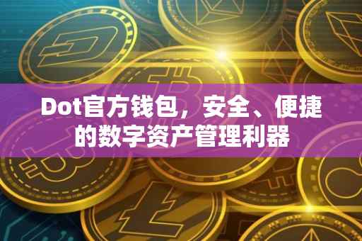 Dot官方钱包，安全、便捷的数字资产管理利器