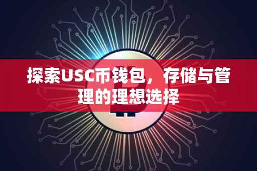 探索USC币钱包，存储与管理的理想选择