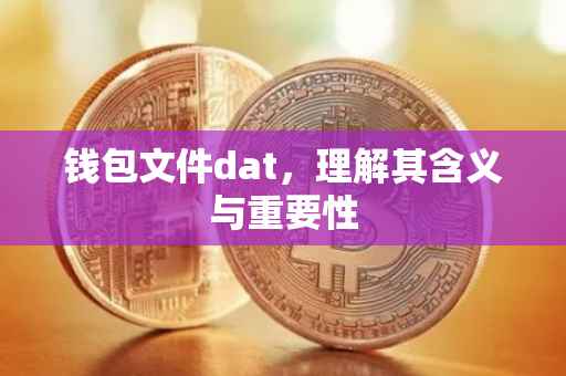 钱包文件dat，理解其含义与重要性