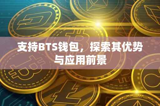 支持BTS钱包，探索其优势与应用前景