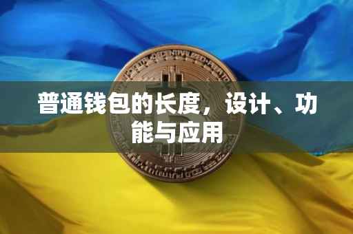 普通钱包的长度，设计、功能与应用