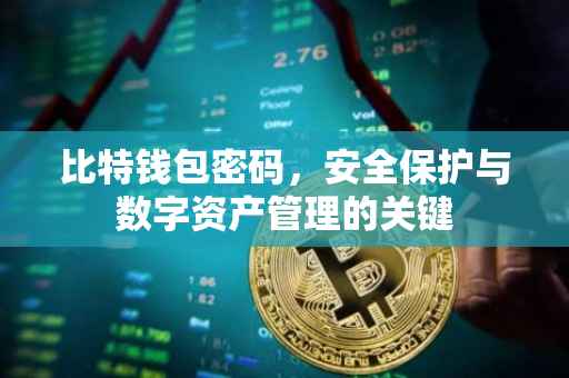 比特钱包密码，安全保护与数字资产管理的关键