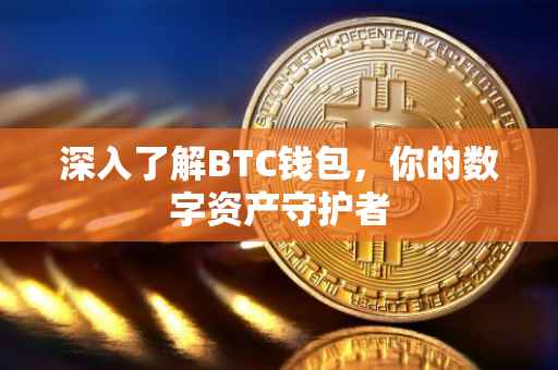 深入了解BTC钱包，你的数字资产守护者