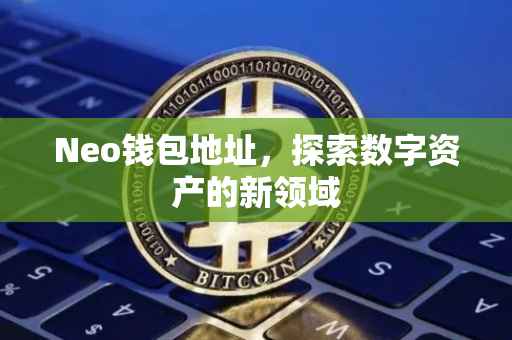 Neo钱包地址，探索数字资产的新领域