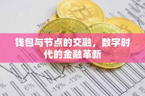 钱包与节点的交融，数字时代的金融革新