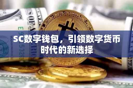 SC数字钱包，引领数字货币时代的新选择