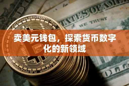 卖美元钱包，探索货币数字化的新领域