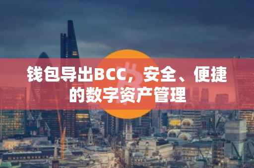 钱包导出BCC，安全、便捷的数字资产管理