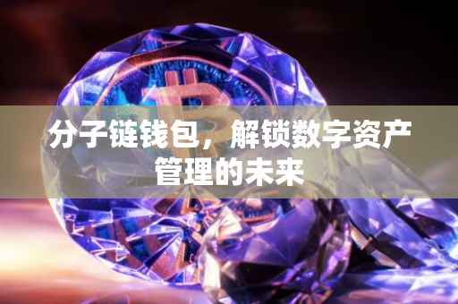 分子链钱包，解锁数字资产管理的未来