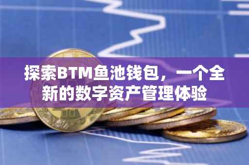 探索BTM鱼池钱包，一个全新的数字资产管理体验