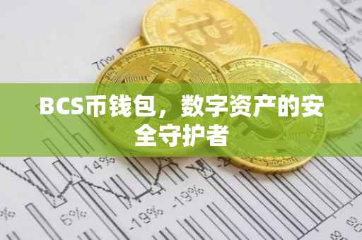 BCS币钱包，数字资产的安全守护者
