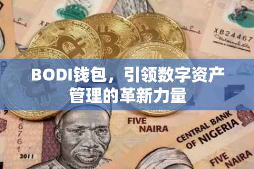 BODI钱包，引领数字资产管理的革新力量