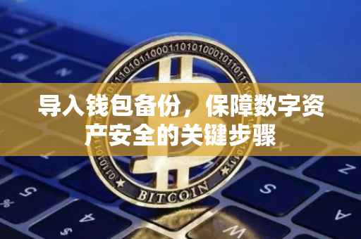 导入钱包备份，保障数字资产安全的关键步骤