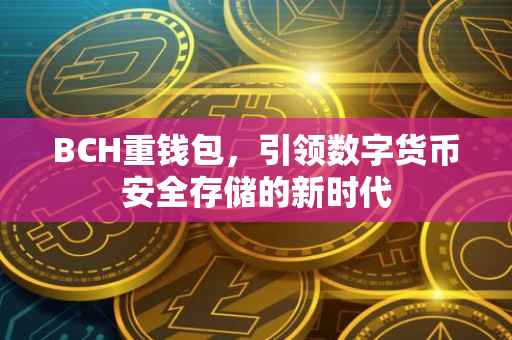 BCH重钱包，引领数字货币安全存储的新时代
