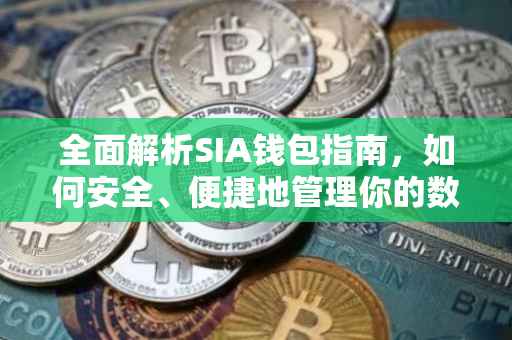 全面解析SIA钱包指南，如何安全、便捷地管理你的数字资产