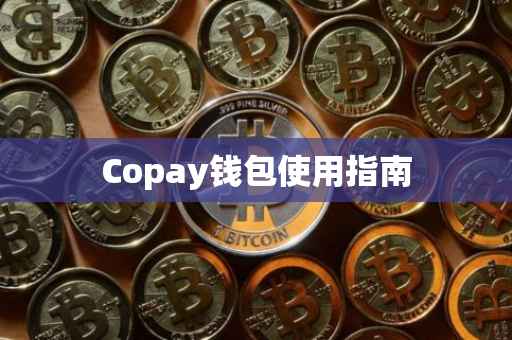 Copay钱包使用指南