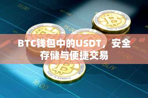 BTC钱包中的USDT，安全存储与便捷交易