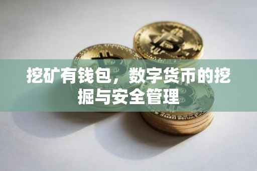 挖矿有钱包，数字货币的挖掘与安全管理