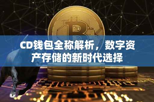 CD钱包全称解析，数字资产存储的新时代选择