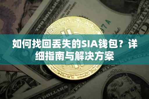 如何找回丢失的SIA钱包？详细指南与解决方案