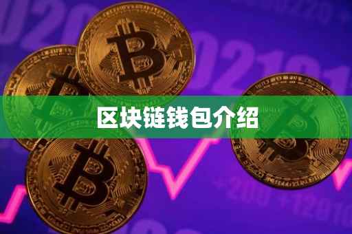 区块链钱包介绍