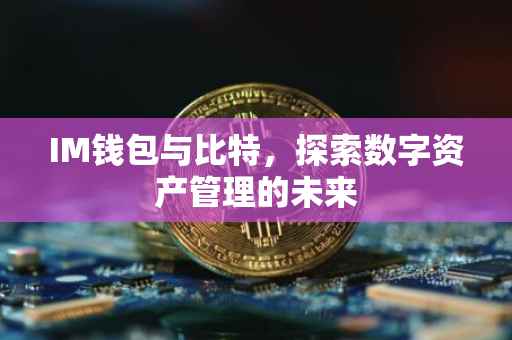 IM钱包与比特，探索数字资产管理的未来