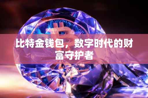 比特金钱包，数字时代的财富守护者