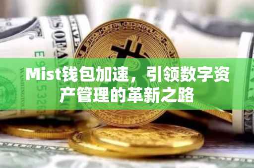 Mist钱包加速，引领数字资产管理的革新之路